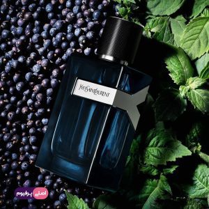 تستر اصلی ایو سن لورن وای - اصلی پرفیوم